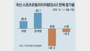 상반기 국내 자동차 판매현황 들여다보니 대형 SUV 인기… 친환경車 가속페달