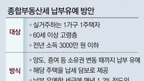 “年소득 3000만원 안되는 고령 1주택자, 연내 종부세 납부유예 추진”