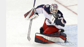 가슴에 폭죽 맞은 美아이스하키 선수 사망…독립기념일 비극