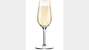 푸틴 “외국산에 ‘샴페인’ 명칭 금지”… 佛주류업계 “우리가 원조인데” 발끈