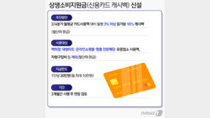 재난지원금 80%, 캐시백 사용처 손질 움직임…정부는 ‘난감’