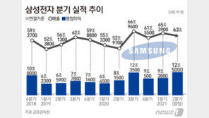 대장株 삼성전자 ‘깜짝실적=주가하락’ 또 재현…왜?