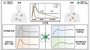 국내연구진 “코로나19 완치자 ‘장기 방어면역’ 10개월 유지”