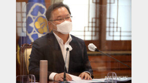 김 총리 “주말 지켜보고 ‘아니다’ 싶으면 거리두기 최고단계”