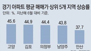 경기도로 번진 아파트값 풍선효과… 고양 1년새 45% 뛰어 