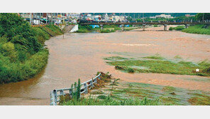 비구름 좁아 ‘깔때기 물폭탄’… 해남 533-영암 266mm 강수량 큰차 