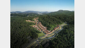  코로나 19가 바꾼 ‘언택트’ 부동산 시장 지형도...단독주택∙타운홈이 뜬다