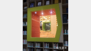 [고양이 눈]책으로 만든 세상