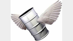 휘발유값 9주연속 상승… 정부, 사재기 집중단속