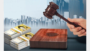 [정충진의 경매 따라잡기]특수물건, 法지식 있다면 ‘고위험 고수익’