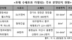 개발 호재에 새 아파트 ‘강세’… 비수도권 지역도 관심↑