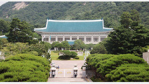 ‘영남대 교수 성폭력 사건’ 청원에 靑 “수사 진행 중”