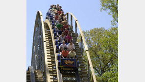 “온몸 힘 주다 동맥 파열”…시속 108㎞ 롤러코스터 타던 40대 여성 사망