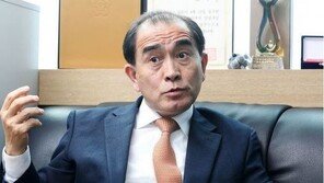 태영호 “현실서 매 맞는 것 모자라 가상서도…文정부, 딱하다”