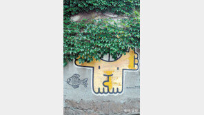 [고양이 눈]보이지 않는 너