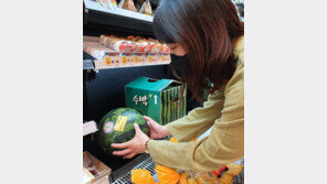 급식 대신 제로페이 10만원…우유·체리·수박 많이 샀네