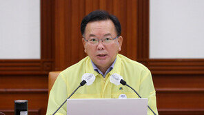 김 총리 “4단계, 한 번도 가보지 못한 길…확산세 꺾어야”