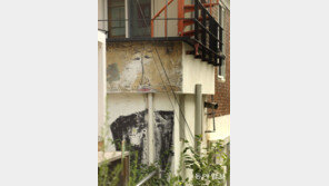 [고양이 눈]보이나요?