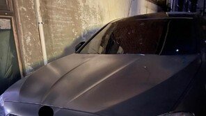 남의 폰번호 적어둔채 무개념 주차 외제차, 처벌 가능할까?