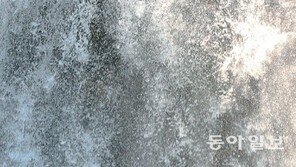 지리산 폭포에서 더위 식히는 피서객