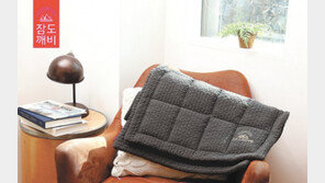 천연 광물 흑운모로 자기장 채우니, 잠이 솔솔∼