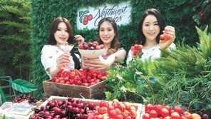 미국북서부체리협회, 31일까지 ‘사진&UCC 공모전’ 진행