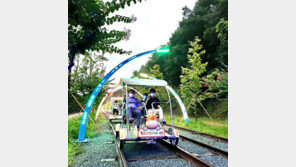 청도군 레일바이크 내달 29일까지 야간운영