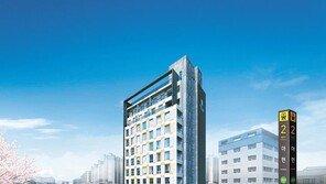 복층설계로 개방감 높인 소형아파트