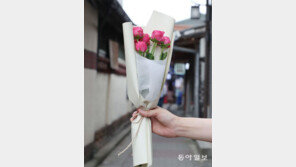 [고양이 눈]장미 한 다발의 위로