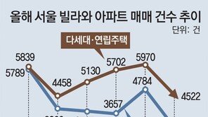 서울 빌라 거래량, 6개월 연속 아파트 추월 