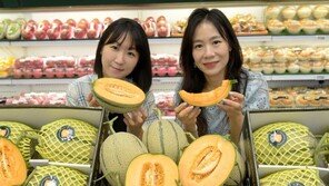 ‘혈관 청소부’ 불리는 칸탈로프 멜론 첫선