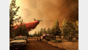 항공기까지 동원하지만… 美서부, 잡을 수 없는 산불