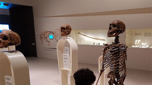 백제 토기 만지기… 석기 조각 붙이기… “체험형 전시 재미있네요” 