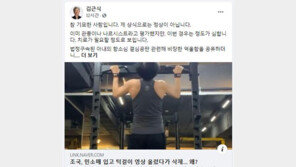 김근식 “조국 턱걸이 인증 좀 심했다…참 기묘한 사람”