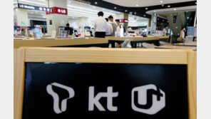 다시 불붙은 ‘진짜 5G’ 논쟁…‘단독규격’ 도입 놓고 신경전