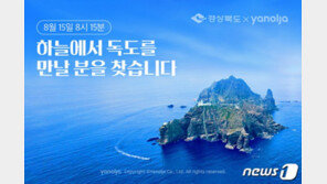 “비행기타고 울릉·독도 다녀오실분 모집합니다”…경북도 무착륙 비행행사