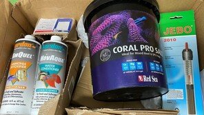 통조림, 우표에 숨겼다 덜미…‘마약 직구’ 적발 153% 증가