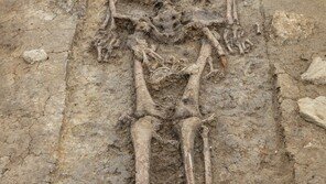 삼국시대 최장신 180cm 인골 발견… 머리 모양이?[청계천 옆 사진관]