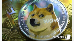 “부자들의 놀이터 됐다” 도지코인 제작자마저 도지코인 버려