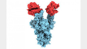 ‘백신 무력화’ 변이 계속 등장할 수도…“‘이것’ 부족 때문”