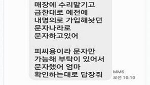 “엄마 휴대전화로 상품권 받겠다” 메신저 피싱 총책 중국서 체포