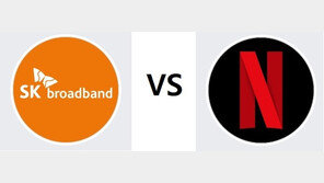 넷플릭스, ‘망 이용료 지급하라’ 1심에 항소…SKB “빈틈없이 대응하겠다”