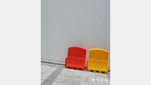 [고양이 눈]파랑이는 어디에