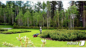 ‘나무 심기’ 박차 가하는 북한…모범 단위 ‘포상’하며 독려