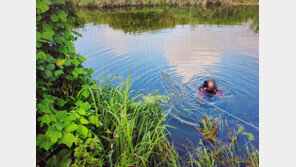 부산서 승용차가 서낙동강 추락…70대 운전자 사망