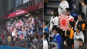 서경덕 “욱일기=전범기…도쿄올림픽서 발견 때 제보해달라”