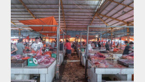 개·뱀·박쥐 등 인니 시장 충격 실태…‘감염병 시한폭탄’ 우려