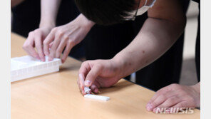 자가검사키트 ‘가짜음성’ 우려에도…정부 “PCR검사 보완”