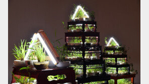  경주 우양미술관, ‘감각의 숲’ 전시 개최