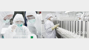 세포치료제 시장 지각변동… GC녹십자랩셀·녹십자셀 ‘GC셀’로 합병